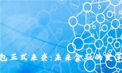 数字钱包正式来袭：未来