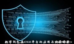 数字钱包在CNX平台的应用