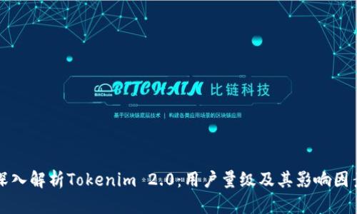 深入解析Tokenim 2.0：用户量级及其影响因素