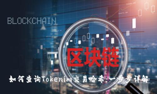 如何查询Tokenim交易哈希：一步步详解