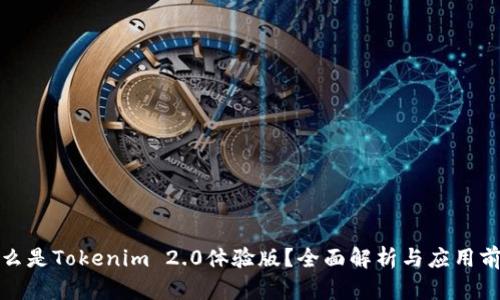 什么是Tokenim 2.0体验版？全面解析与应用前景