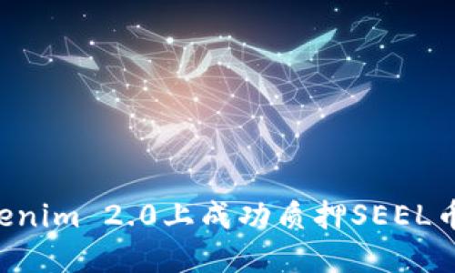 如何在Tokenim 2.0上成功质押SEEL币：完整指南