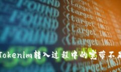 解决Tokenim转入过程中的宽