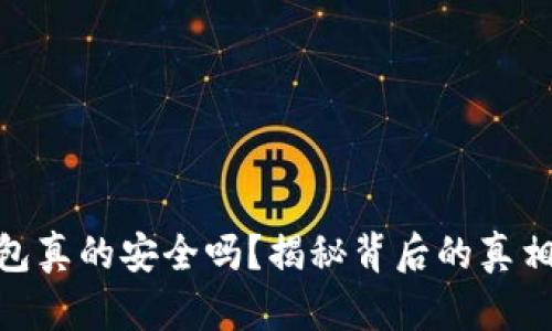 数字钱包真的安全吗？揭秘背后的真相与风险
