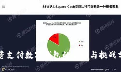 工资支付数字钱包的优势与挑战分析