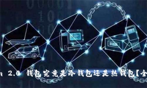 Tokenim 2.0 钱包究竟是冷钱包还是热钱包？全面解析！