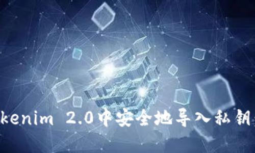 如何在Tokenim 2.0中安全地导入私钥：完整指南