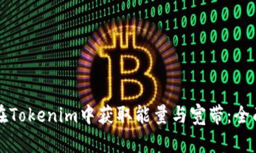 如何在Tokenim中获取能量与宽带：全面指南