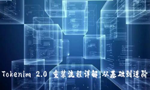 Tokenim 2.0 重装流程详解：从基础到进阶