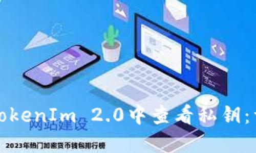 如何在TokenIm 2.0中查看私钥:详细指南